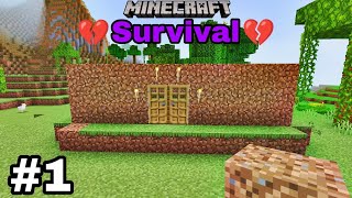 Minecraft Survival Sires Ep 1 [upl. by Nileuqay]