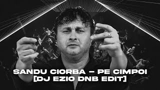 Sandu Ciorba  Pe Cimpoi DJ EZIO DNB EDIT [upl. by Sigmund]