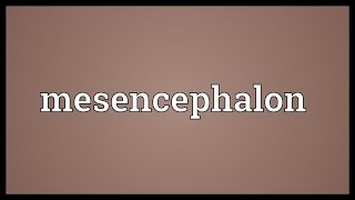 Mesencephalon Meaning [upl. by Fredela813]