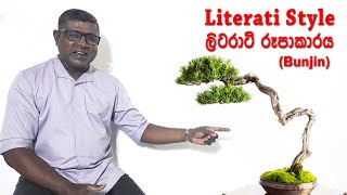 Literati bonsai style  ලිටරාටි රූපාකාරය [upl. by Feer339]