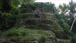 algunos sitios arqueologicos del Parque Mirador  Rio Azul [upl. by Bluhm]