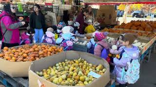 Canada Montreal Jean Talon Market [upl. by Adnilg689]