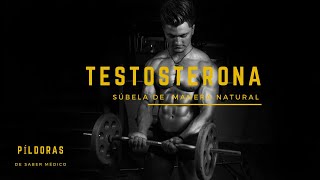 💪EL PODER DE LA TESTOSTERONA para tu salud masculina – Descubre COMO SUBIRLA de manera NATURAL [upl. by Aicela]