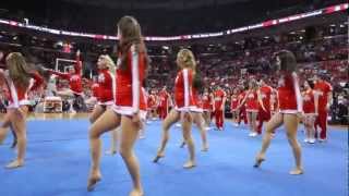 Ohio State Cheerleaders and Dance Team [upl. by Ynehpets]