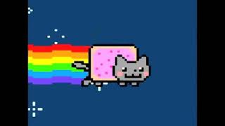 Miaou miaou  chat arc en ciel 😂 [upl. by Ruy]