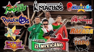 Lo Mejor de la Banda Mix 2024  El Mexicano Machos Maguey Cuisillos Arkangel15 y Más [upl. by Bambi]