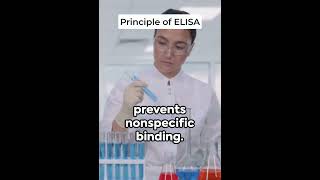 ELISA principle science biology chemistry research biochemistry ytshorts shorts [upl. by Aicinoid]