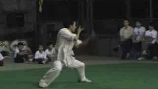 Xin Hui choy lee fut USASifu Wong Zen Yem [upl. by Elohcin]