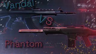 Phantom VS Vandal Die große Valorant Frage Riot games Daten Auswertung [upl. by Caraviello945]