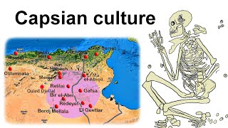 The Capsian culture  Maghreb in Mesolithic and Neolithic c8000 – c2700 BC [upl. by Joelie]