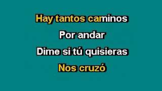 Julieta Venegas Andar contigo Karaoke [upl. by Dyanne507]