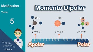 ¿Cómo determinar la POLARIDAD de las moléculas [upl. by Nichani]