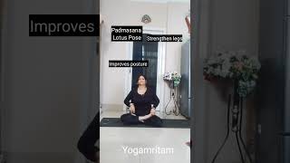 Benefits of Padmasana youtubeshorts motivation weightloss trending [upl. by Briant]