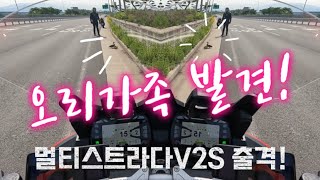 2024 멀티스트라다 V2S 할리스양산원동점 투어 feat Iron883 CB1000R [upl. by Karney]