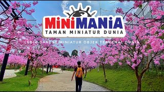 TAMAN SAKURA di MINI MANIA Lembang Bandung  TRAVELING BEBAS 92 [upl. by Egdamlat]