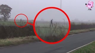 8 Mythological Creatures Caught on Camera [upl. by Lalage]