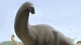 The Evolution of Sauropods [upl. by Welcome]