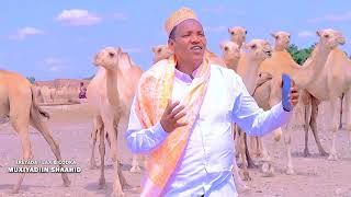 DHAANTO CUSUB  MUXIYADIIN SHAAHID  FARXIYA  OFFICIAL VIDEO 2024 [upl. by Grane]