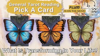 ✨ What Is Transforming In Your Life Right Now 🔮 ✨  Timeless Pick A Card Tarot Reading [upl. by Olson144]