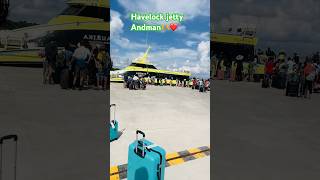 Havelock jetty 🛳️youtubeshorts travel andman trending touristattractions trendingshorts [upl. by Tigirb559]