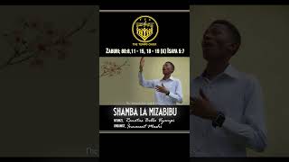 VERSE 1  SHAMBA LA MIZABIBU [upl. by Nitnelav]