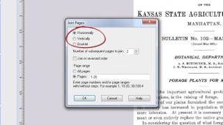 14 Joining scanned pages and images together and page resequencing in PixEdit Prepress PixEdit7 [upl. by Aelgna300]