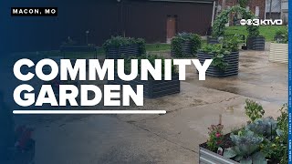 Macons Community Garden growing like crazy [upl. by Arty]