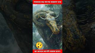 এটা কি সত্যি পৃথিবীর ইতিহাসে সবথেকে বড় সাপ। titanoboa documentary shorts [upl. by Bowles]