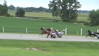 2024 Midwestern Classic 2yo Colt Trot Final Blue Streak wins in 1144 [upl. by Bruni678]