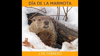 El Imperio del día de la Marmota [upl. by Tanney]