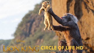 The Circle of Life  Song  Lion King 2019 [upl. by Camilla]