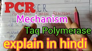 L 6PCR  Polymerase Chain Reaction explained  class 12 biology chapter 11 biotechnology in hindi [upl. by Enelhtac]