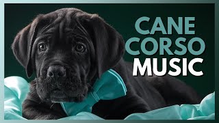 Relaxing Dog Music for Cane Corsos  Dog Radio [upl. by Nus]