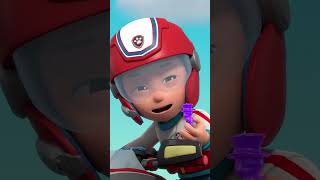 Patrulha Pata resgate do urso de goma gigante do Humdinger  PAWPatrol Portugues shorts [upl. by Ahsinom969]