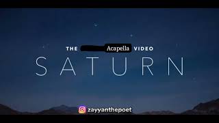 Sleeping at last  Saturn  Acapella  Vocals only  No Music [upl. by Lerual386]