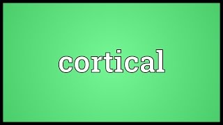 Cortical Meaning [upl. by Novaat693]