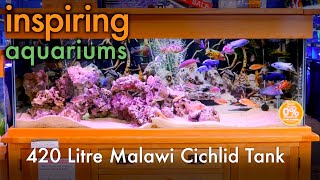 Inspiring Aquariums  420 Litre Malawi Cichlid Tank [upl. by Aharon100]