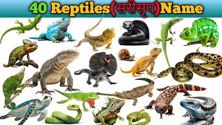 Reptiles Name in Hindi and English  Reptiles Animals Name [upl. by Galen]