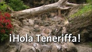 ¡Hola Teneriffa – Pinguine Papageien und Gorillas im Loro Parque 2005 [upl. by Omidyar]