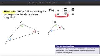 Criterios de Semejanza  Clase 8  Parte 1 [upl. by Dubenko]