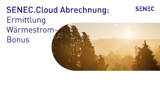 SENECCloud Abrechnung Ermittlung Wärmestrombonus Cloud 30 [upl. by Anoyk668]