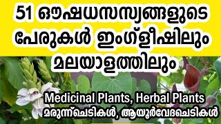 51 Medicinal plants names in English and Malayalam  ഔഷധ സസ്യങ്ങൾ herbs oushadha chedikal 🌿🌿 [upl. by Suinotna]