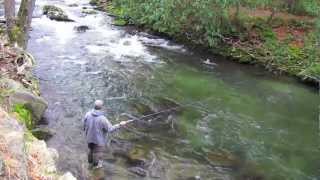 Fly Fishing with Tenkara in the Smoky Mountains [upl. by Gnanmos]