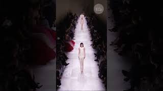 Armani Privé  Look 80  FW24 Couture  Quick Looks fashion fashionweek fashiontrends [upl. by Barret]