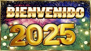 🥂 BIENVENIDO AÑO NUEVO 2024  🙏 Año Nuevo frases para dedicar con bonito mensaje de Feliz Año Nuevo [upl. by Viafore]