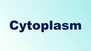 Cytoplasm Definition and Function I Factory Analogy [upl. by Jayme]