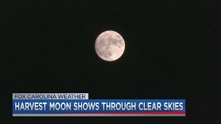 Harvest Moon to start October with a blue moon coming on Halloween [upl. by Partridge]