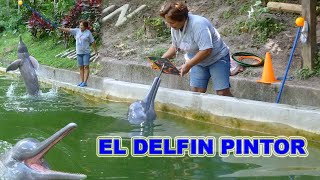 EL DELFIN PINTOR [upl. by Whale]