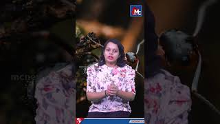 ഉറുമ്പിനെ വളര്‍ത്തി വരുമാനം നേടാം  MC News [upl. by Anirbas269]