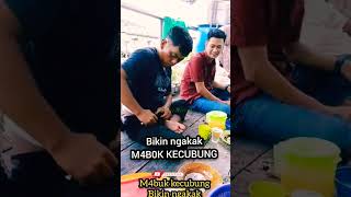 VIDEO LUCU MAKAN BARENG [upl. by Roz305]